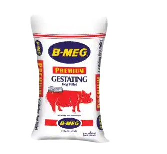 Premium Gestating Hog Pellet